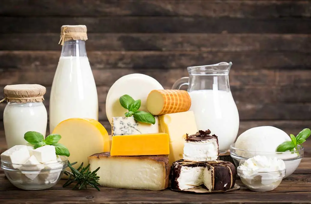 لبنی ها در 6 ماهه چه کردند؟
