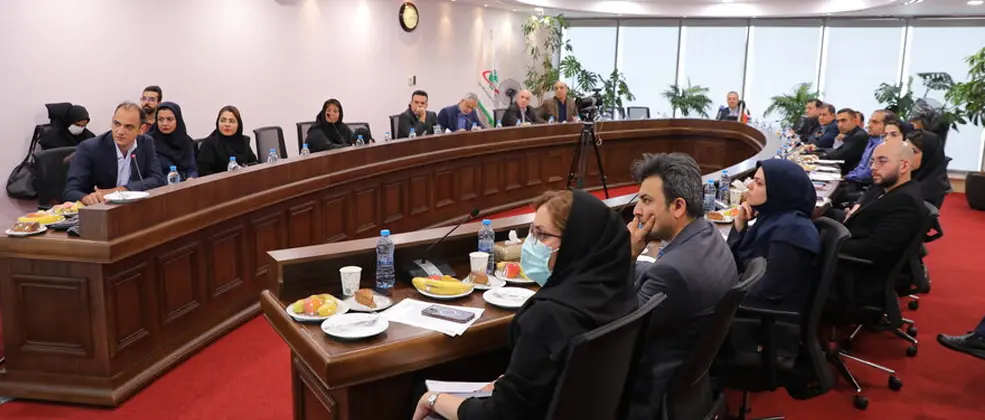 نرخ خوراک؛ مهم‌ترین چالش صنعت متانول