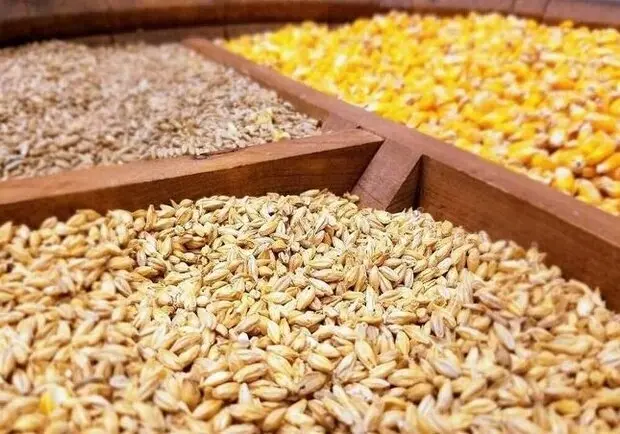 تاثیر جنگ بر بازار گندم و غلات