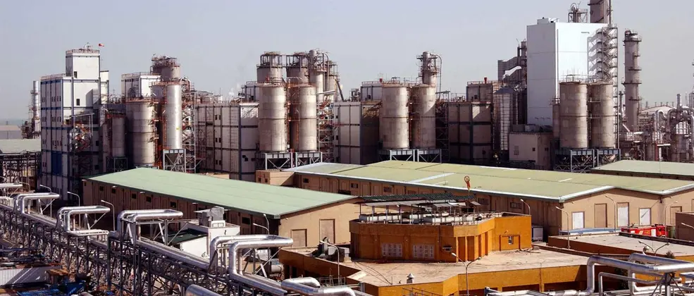 بررسی اثر DPS «شگویا» بر «فارس»