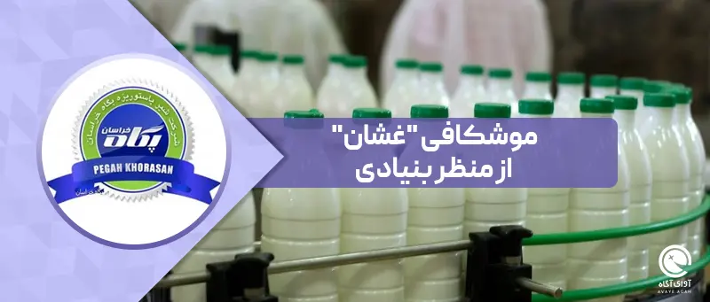 موشکافی "غشان" از منظر بنیادی