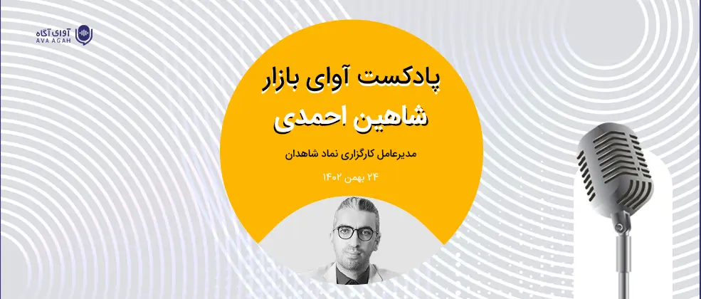 دومینوی سهم‌خواهی دولت 