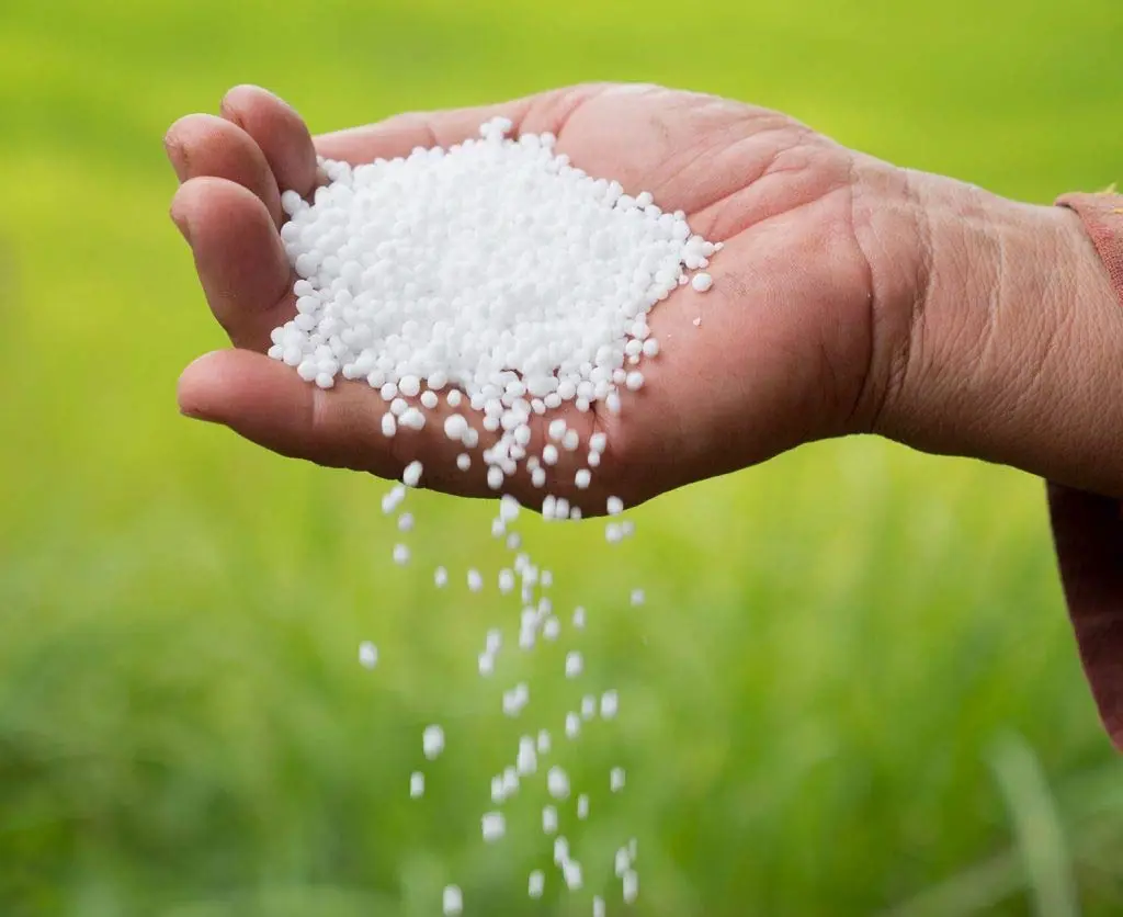 بررسی اجمالی بر اوره سازها