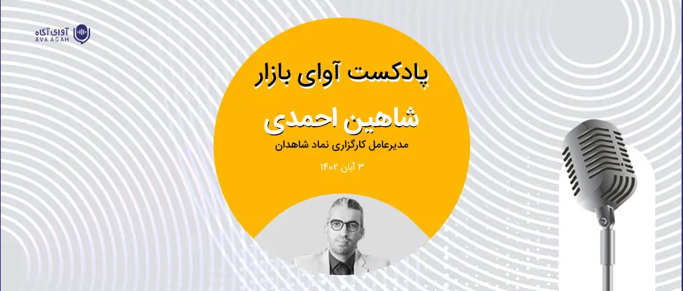 بازتاب دخالت‌های دولت در بازار
