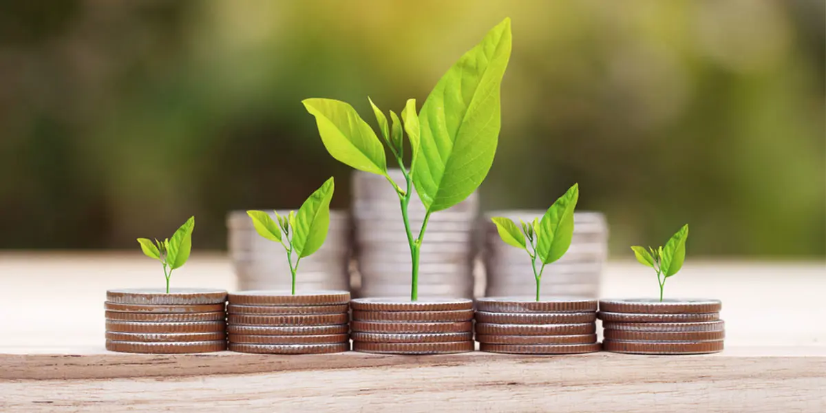 کدام صندوق‌ها بیشترین بازدهی را در اولین هفته از آذرماه کسب کردند؟