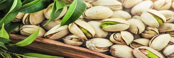تقسیم سود 660 ریالی در مجمع «زبینا»