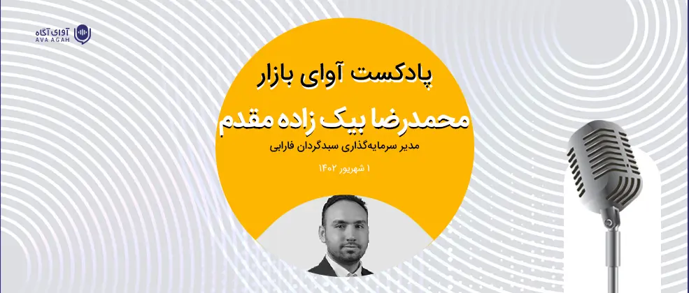 سودجویی و عدم حمایت از بازار 