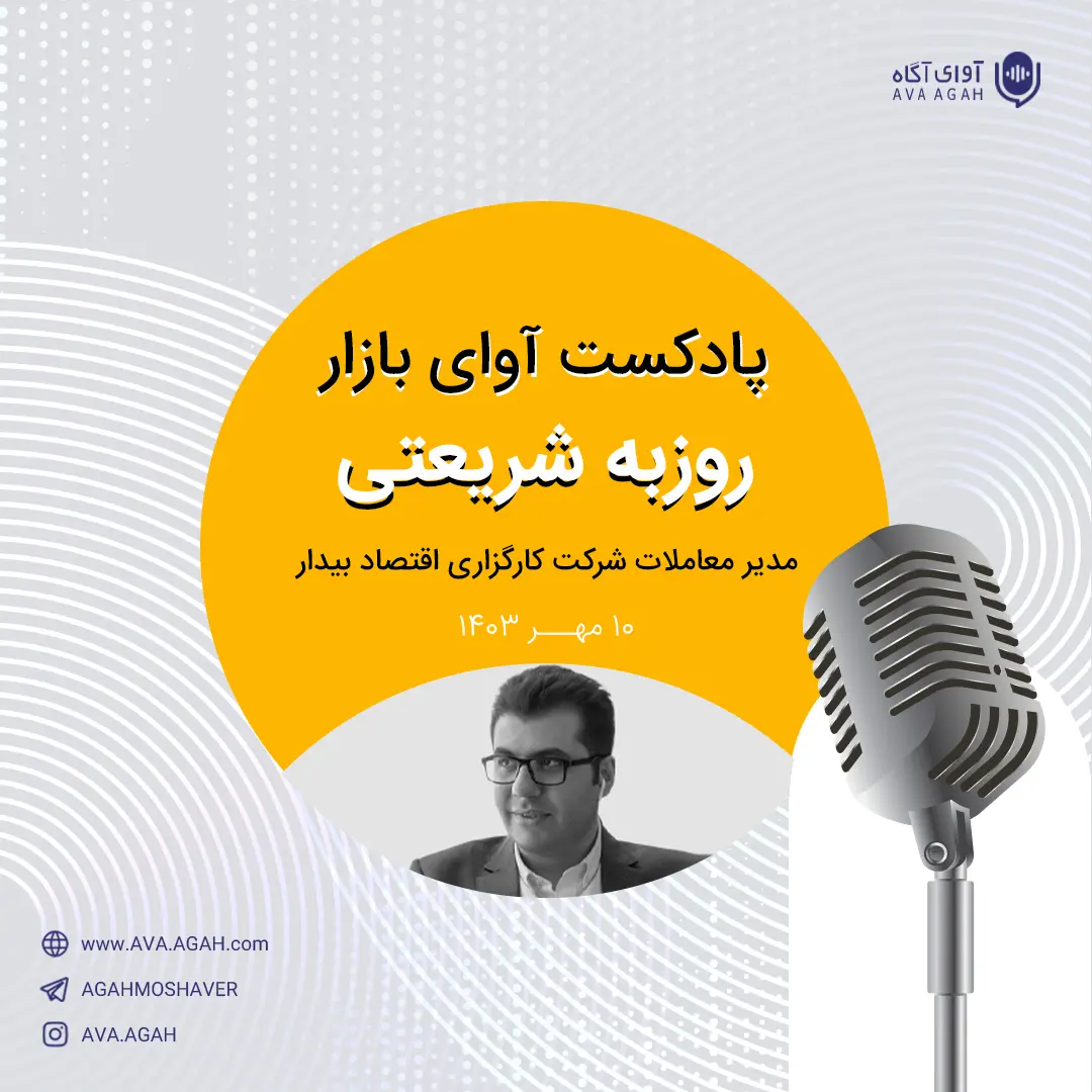 سازمان بورس در کنار محدودیت دامنه نوسان چه راهکار دیگری را می‌توانست اتخاذ کند؟ 
